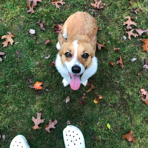 SHOP_ANARAE IS LIVE! - Picture 4 of 8